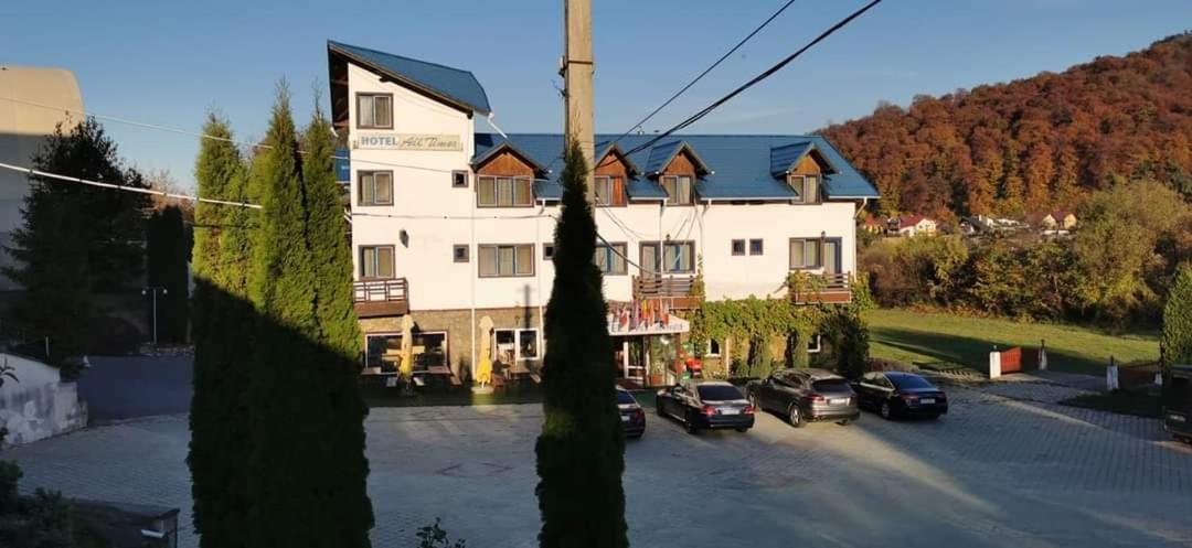 Hotel All Times Тимишу-де-Жос Экстерьер фото
