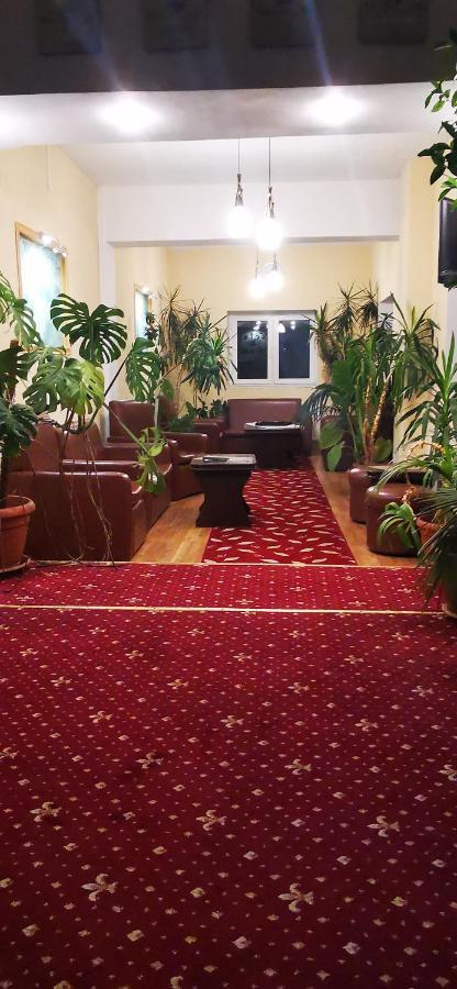 Hotel All Times Тимишу-де-Жос Экстерьер фото