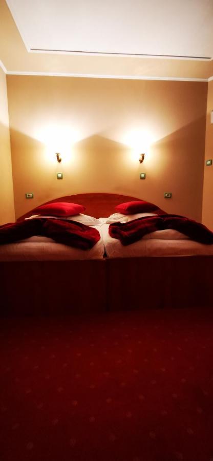 Hotel All Times Тимишу-де-Жос Номер фото
